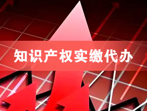 惠州知识产权实缴资本代办